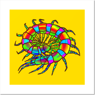 Rainbow Curled-Up Centipede Posters and Art